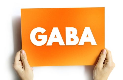 Gaba doplněk stravy